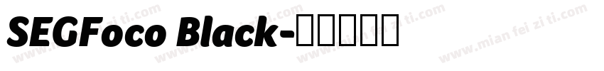 SEGFoco Black字体转换